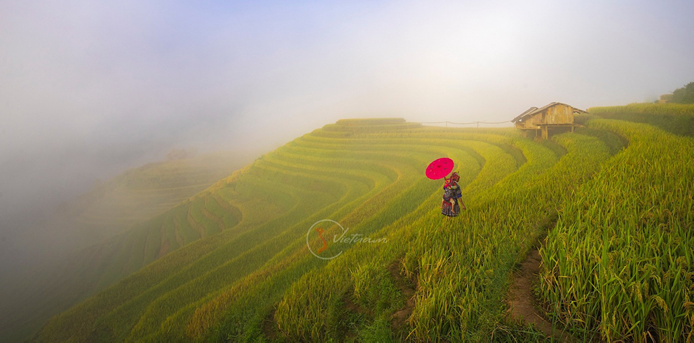 mu cang chai